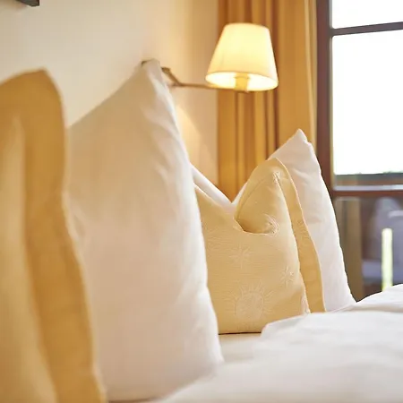 Otel Alpenoase Sonnhof Saalbach-Hinterglemm